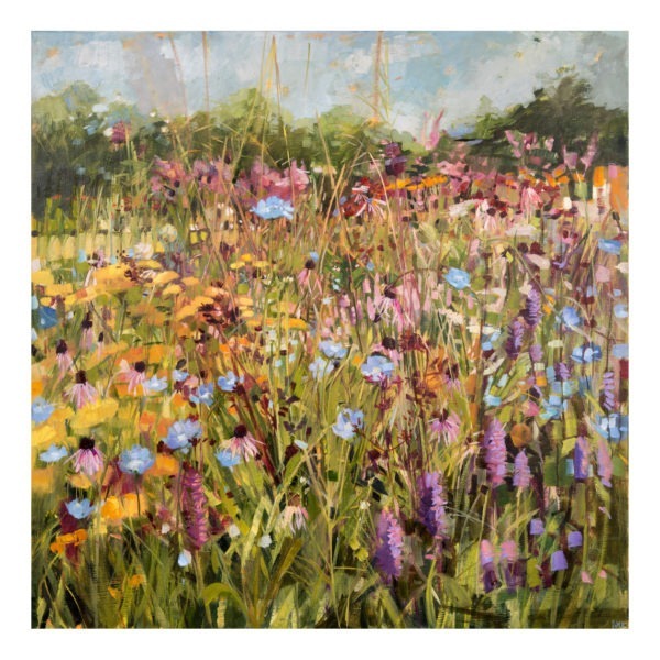 Summer Field with Scabious, oil Painting by Anne Marie Butlin. Buy paintings online. Paintings for sale online. Art for sale online. Norfolk art gallery, Riverside Art and Glass, Wroxham, East Anglia, United Kingdom. Gallery in the Lanes, Norwich.