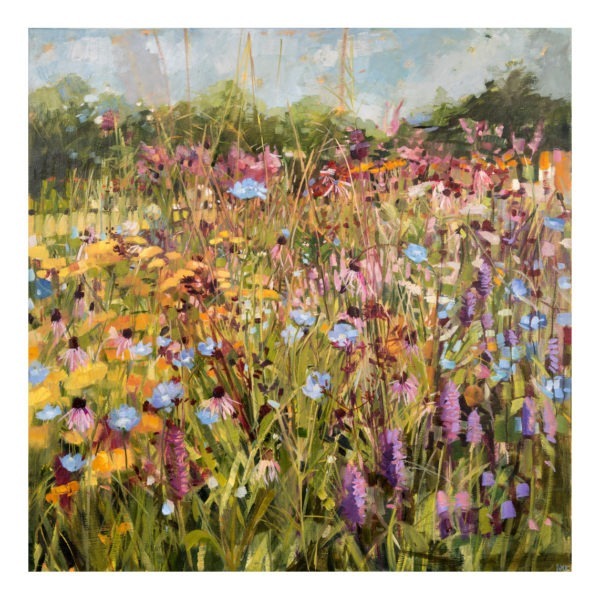 Summer Field with Scabious, oil Painting by Anne Marie Butlin. Buy paintings online. Paintings for sale online. Art for sale online. Norfolk art gallery, Riverside Art and Glass, Wroxham, East Anglia, United Kingdom. Gallery in the Lanes, Norwich.